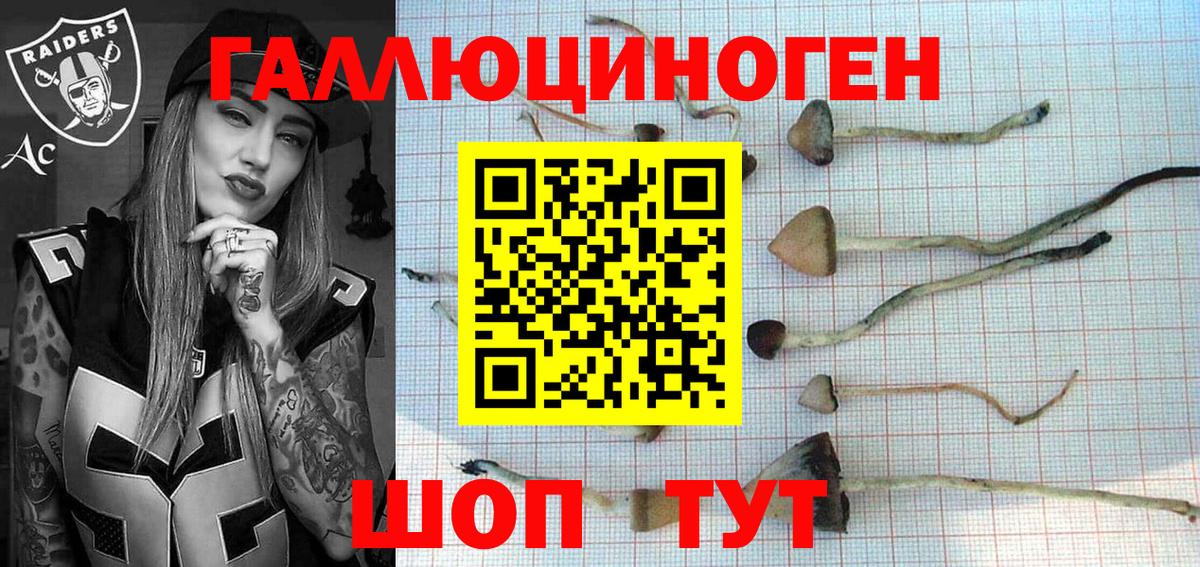 Галлюциногенные грибы мухоморы Саяногорск