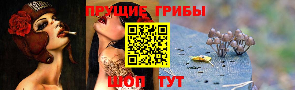 Галлюциногенные грибы мицелий  Вход с VPN  Саяногорск  Псилоцибиновые грибы Magic Shrooms 
